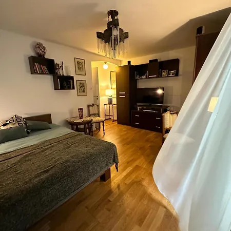 Zora * Cluj-Napoca