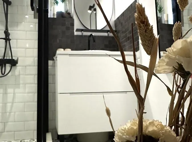 Zora 아파트 클루지나포카