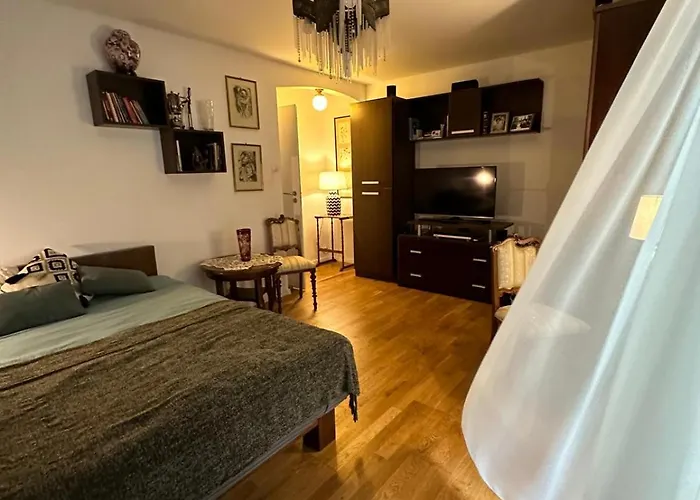 Zora * 클루지나포카